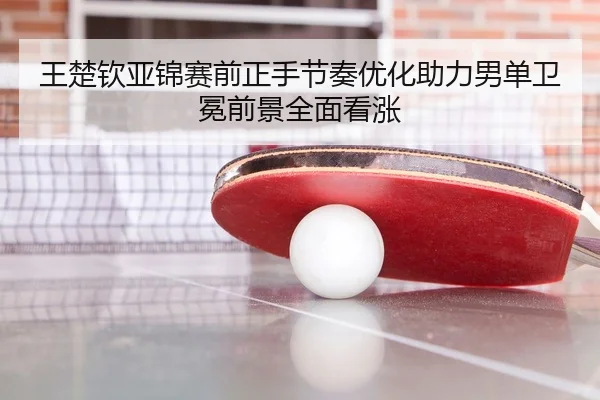 王楚钦亚锦赛前正手节奏优化助力男单卫冕前景全面看涨
